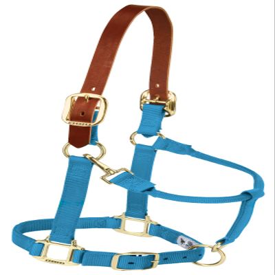 Weaver Leather Adjustable Breakaway Nylon Horse Halter, Hurricane Blue, Weanling/Pony