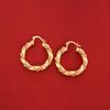24K Gold-Bonded Twist Round Hoop Earring for Women view 3