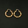 24K Gold-Bonded Twist Round Hoop Earring for Women view 4