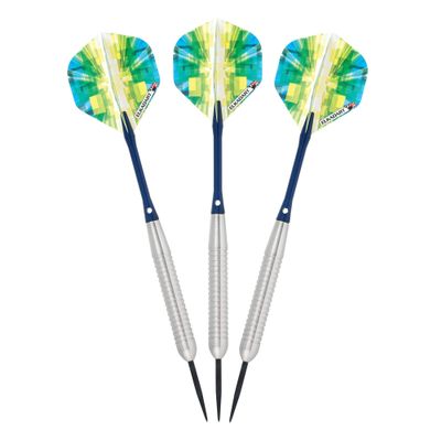 Elkadart unisex adult Elkadart Prism Steel Tip Darts with Storage Travel Case 22 Grams, Silver, 22g US