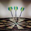 Elkadart unisex adult Elkadart Prism Steel Tip Darts with Storage Travel Case 22 Grams, Silver, 22g US view 2