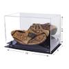 Better Display Cases Acrylic Baseball Catchers Glove Display Case Black Risers Mirror (A011/V16) view 2
