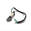 ITACO Boat Motor 9.8F-01.03.06.00 Charge Coil Exciter for Hidea Outboard 9.8HP 8HP 6HP F 2-Stroke Engine view 1