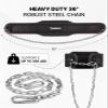 DMoose Fitness Dip Belt For Weightlifting - Weighted Pull Up and Squat Belt with Chain for Intense Workouts - Heavy Duty Stainless Steel Chain & Coated D-Ring - Weight Dipping Belt for Dips - Black view 4