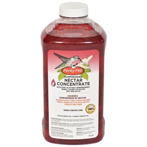 Perky Pet 238 32 Oz Hummingbird Nectar Concentrate