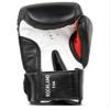 BENLEE Rocky Marciano Unisex Rockland Boxing Gloves, Unisex, Rockland, Black/White view 3