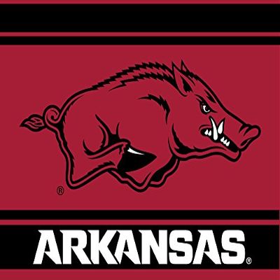 Arkansas Razorbacks 5x6 Inch Rectangle Magnet Stripe Officially Licensed Collegiate Product