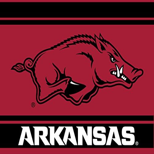 Arkansas Razorbacks 5x6 Inch Rectangle Magnet Stripe Officially Licensed Collegiate Product