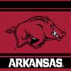 Arkansas Razorbacks 5x6 Inch Rectangle Magnet Stripe Officially Licensed Collegiate Product view 1