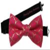 EmilyRose Couture Men's Special Prints Bow Ties (Group 2 of 2) (Adult-12 year olds or older, Pink Arabesque) view 1