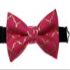 EmilyRose Couture Men's Special Prints Bow Ties (Group 2 of 2) (Adult-12 year olds or older, Pink Arabesque) view 3