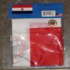 AES 12x18 12"x18" Country of Paraguay Boat Motorcycle Flag Brass Grommets view 3