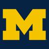 AH02 - Michigan Wolverines Primary Logo Hoodie - 3X-Large - Navy view 4