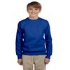 Hanes Youth Cotton Crewneck Fleece Closure Sweatshirt Pack 3, Deep Royal, Small view 1