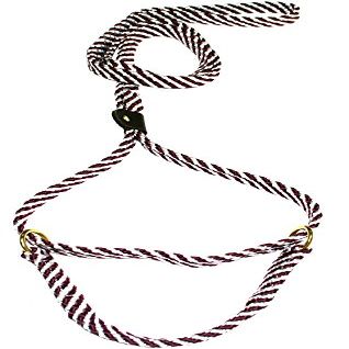 Lone Wolf 5/8 x 6' Flat Braid Martingale Leash Maoon/White Spiral