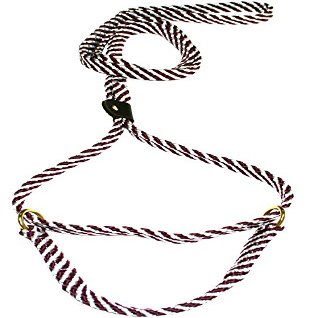 Lone Wolf 5/8 x 6' Flat Braid Martingale Leash Maoon/White Spiral