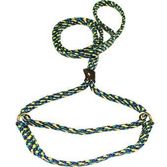 Lone Wolf 5/8 x 6' Flat Braid Martingale Leash Mardi Gras