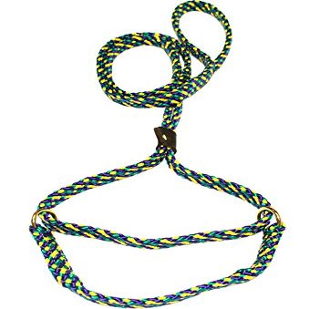 Lone Wolf 5/8 x 6' Flat Braid Martingale Leash Mardi Gras
