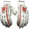SS Batting Gloves- SUPERTEST (Traditional Series) view 1