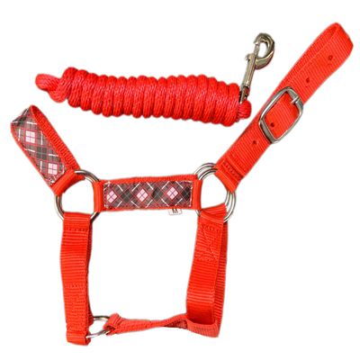 HalterUp Miniature Horse Halters and Lead Ropes (2 Item Bundle) Available in 10 Colors (Red, Large)