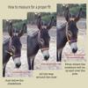 HalterUp Miniature Horse Halters and Lead Ropes (2 Item Bundle) Available in 10 Colors (Red, Large) view 2