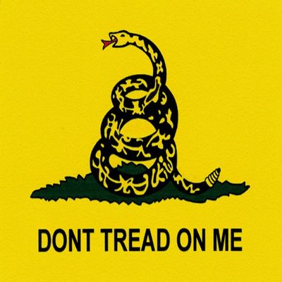 Don't Tread On Me - Small Bumper Sticker or Laptop Decal (3.5" X 2.25")