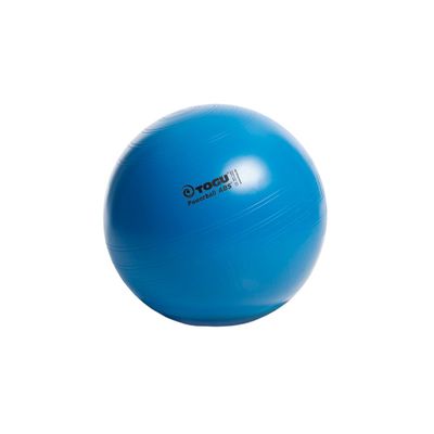 3B Scientific W11291 Gymnastics Ball Dimensions 45 cm Diameter trikes