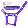 HalterUp Miniature Horse Halters and Lead Ropes (2 Item Bundle) Available in 10 Colors (Purple, Medium) view 1