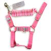 HalterUp Miniature Horse Halters and Lead Ropes (2 Item Bundle) Available in 10 Colors (Pink, Large) view 1