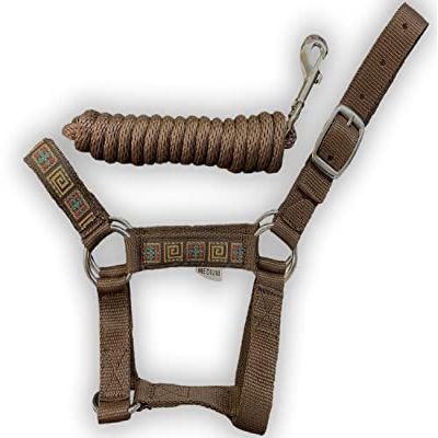 HalterUp Miniature Horse Halters and Lead Ropes (2 Item Bundle) Available in 10 Colors (Brown, Large)
