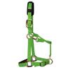 KM Elite Padded Luxury Head Collar - Various Bright Colours - Various Sizes (Hot Green, Large) view 4