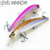 RAID Japan Level Minnow LM008 Just Bait view 2