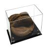 Better Display Cases Acrylic Baseball Catchers Glove Display Case Silver Risers Mirror (A011/V16) view 1