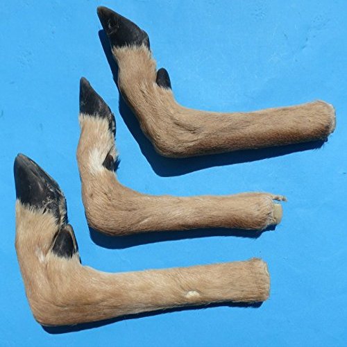 TruBlu Supply Real Deer Foot Feet Hoof L Shaped for Making Gun Racks Wall Hooks (Set of Two)