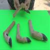 TruBlu Supply Real Deer Foot Feet Hoof L Shaped for Making Gun Racks Wall Hooks (Set of Two) view 2