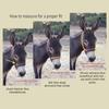 Miniature Donkey Halters and Lead Ropes by HalterUp (2 Item Bundle) Available in 10 Colors (Maroon, Large) view 2
