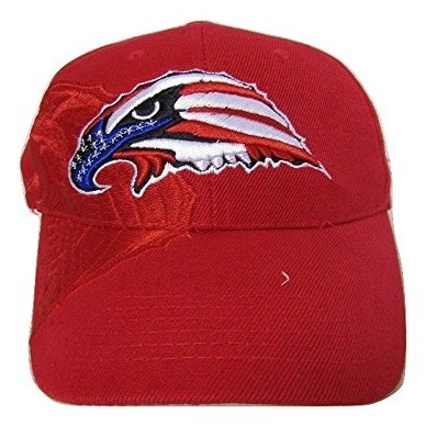 AES USA American Bald Eagle Head Red White Blue Shadow Embroidered Cap Hat