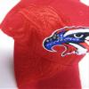 AES USA American Bald Eagle Head Red White Blue Shadow Embroidered Cap Hat view 2
