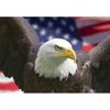 wall26 - Bald Eagle with American Flag, Focus on Head (Clipping Path) - Removable Wall Mural | Self-Adhesive Large Wallpaper - 100x144 inches view 2