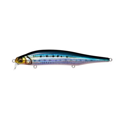 Megabass X-80 Magnum SR FA Sardine