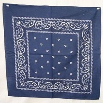 AES Wholesale Lot 3 22"x22" Paisley Light Navy Blue Bandana