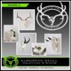 DEAD ON DISPLAY  Small Skull Hanger- American Made, European Skull Taxidermy Trophy Mounting Kit view 4