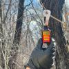 Wildlife Research Golden Estrus with Scent Reflex Technology view 2