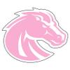 Craftique Boise State Broncos Decal view 1