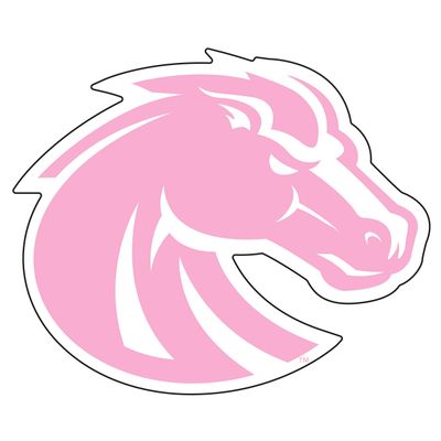 Boise State Broncos Magnet