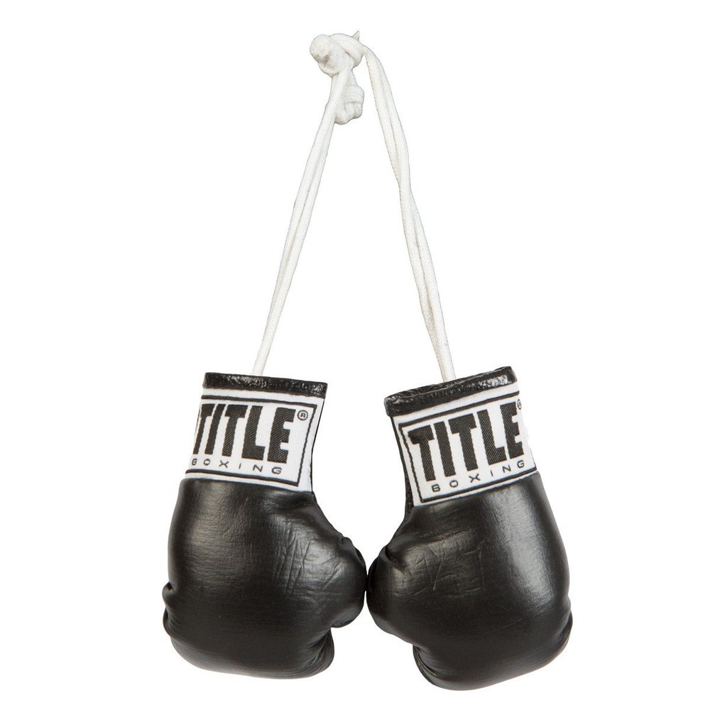 Title Boxing Mini Boxing Glove, Black