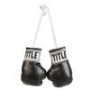 Title Boxing Mini Boxing Glove, Black view 1