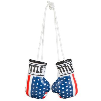 Title Boxing Mini Boxing Glove, USA Flag