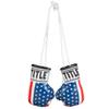 Title Boxing Mini Boxing Glove, USA Flag view 1