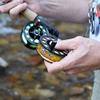 Alpine Innovations Stripee ReelBandz 3 Pack - Universal Fit Fly Fishing Reel Cover to Prevent Line Tangles- (Large, Mahi Mahi) view 3